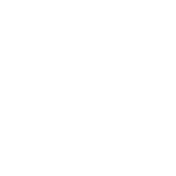 Logo szkoły DWUJĘZYCZNA SPOŁECZNA SZKOŁA PODSTAWOWA NR 5 IMIENIA ZAWISZY CZARNEGO SPOŁECZNEGO TOWARZYSTWA OŚWIATOWEGO