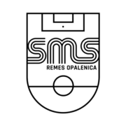 Szkoła Mistrzostwa Sportowego Remes w Szamotułach school logo