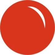 Логотип школы MULTISCHOOL INTERNATIONAL SCHOOL SZKOŁA PODSTAWOWA