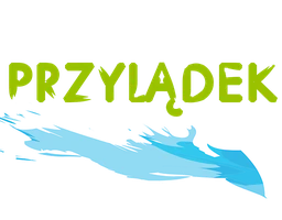 Логотип школы NIEPUBLICZNA SZKOŁA PODSTAWOWA DLA DZIECI Z ZABURZENIAMI ZE SPEKTRUM AUTYZMU "PRZYLĄDEK"